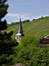 DSC06417.JPG