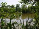 DSC06429.JPG